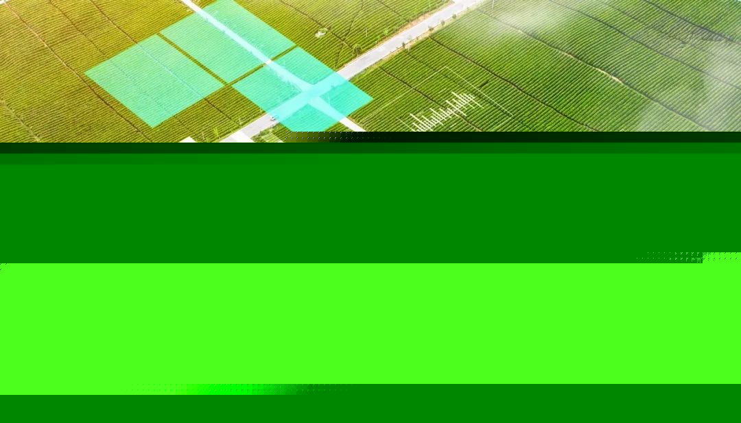 從線下(xià)到線上，傳統行業如何數字化轉型？(圖3)